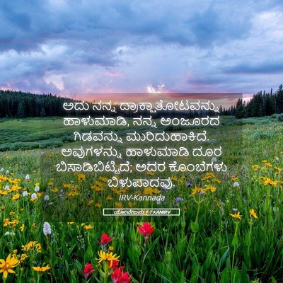 Picture 05 - ಯೋವೇಲನು 1:7 KANIRV - ಅದು ನನ್ನ - Bible Verse Picture