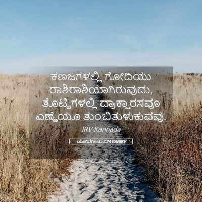 Picture 05 - ಯೋವೇಲನು 2:24 KANIRV - ಕಣಜಗಳಲ್ಲಿ ಗೋದಿಯು - Bible Verse Picture