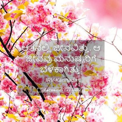 Picture 05 - ಯೋಹಾನನು 1:4 KANIRV - ಆತನಲ್ಲಿ - Bible Verse Picture