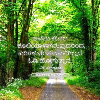 Picture 05 - ಯೋಹಾನನು 10:13 KANIRV - ಅವನು ಕೇವಲ - Bible Verse Picture