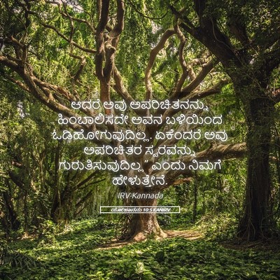 Picture 05 - ಯೋಹಾನನು 10:5 KANIRV - ಆದರೆ ಅವು - Bible Verse Picture