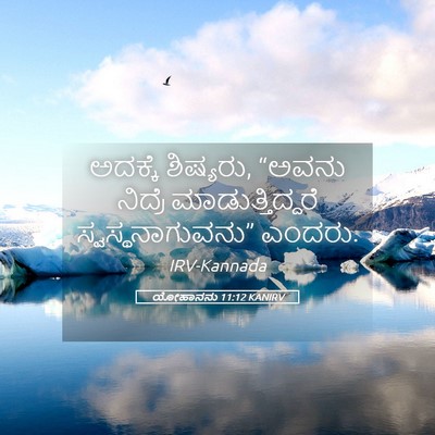 Picture 05 - ಯೋಹಾನನು 11:12 KANIRV - ಅದಕ್ಕೆ ಶಿಷ್ಯರು, - Bible Verse Picture