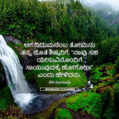Picture 05 - ಯೋಹಾನನು 11:16 KANIRV - ಆಗ ದಿದುಮನೆಂಬ - Bible Verse Picture