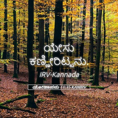 Picture 05 - ಯೋಹಾನನು 11:35 KANIRV - ಯೇಸು - Bible Verse Picture