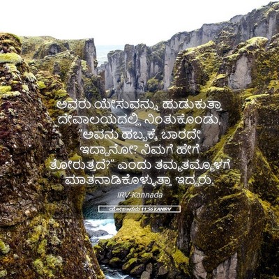 Picture 05 - ಯೋಹಾನನು 11:56 KANIRV - ಅವರು ಯೇಸುವನ್ನು - Bible Verse Picture