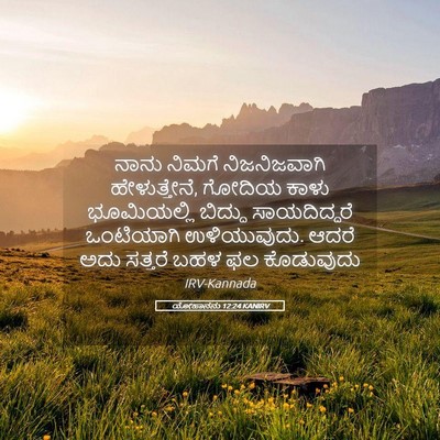 Picture 05 - ಯೋಹಾನನು 12:24 KANIRV - ನಾನು ನಿಮಗೆ - Bible Verse Picture