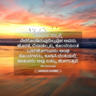 Picture 05 - ಯೋಹಾನನು 15:6 KANIRV - ಯಾವನು ನನ್ನಲ್ಲಿ - Bible Verse Picture