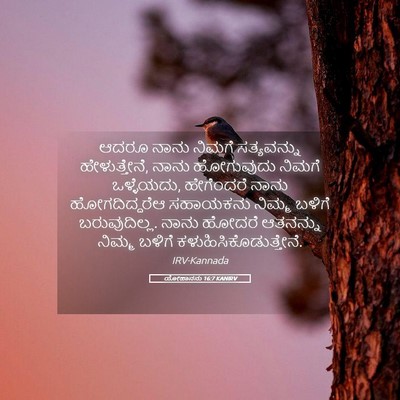 Picture 05 - ಯೋಹಾನನು 16:7 KANIRV - ಆದರೂ ನಾನು ನಿಮಗೆ - Bible Verse Picture