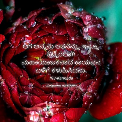 Picture 05 - ಯೋಹಾನನು 18:24 KANIRV - ಆಗ ಅನ್ನನು ಆತನನ್ನು - Bible Verse Picture