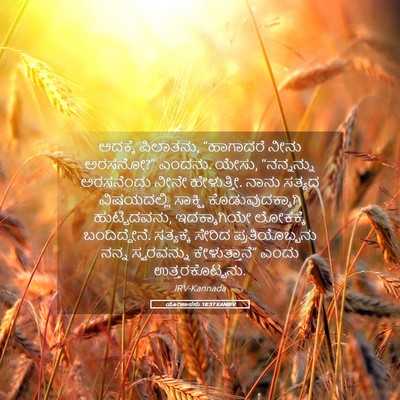 Picture 05 - ಯೋಹಾನನು 18:37 KANIRV - ಅದಕ್ಕೆ ಪಿಲಾತನು, - Bible Verse Picture