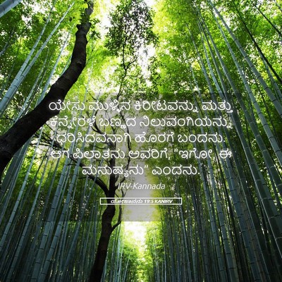 Picture 05 - ಯೋಹಾನನು 19:5 KANIRV - ಯೇಸು ಮುಳ್ಳಿನ - Bible Verse Picture