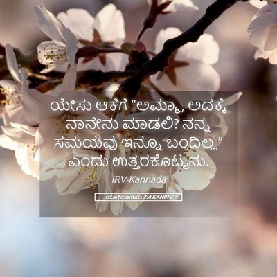 Picture 05 - ಯೋಹಾನನು 2:4 KANIRV - ಯೇಸು ಆಕೆಗೆ “ಅಮ್ಮಾ, - Bible Verse Picture