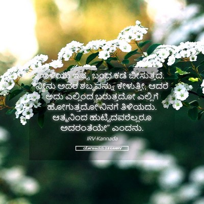 Picture 05 - ಯೋಹಾನನು 3:8 KANIRV - ಗಾಳಿಯು ಇಷ್ಟ ಬಂದ - Bible Verse Picture