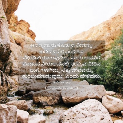 Picture 05 - ಯೋಹಾನನು 4:14 KANIRV - ಆದರೆ, ನಾನು ಕೊಡುವ - Bible Verse Picture