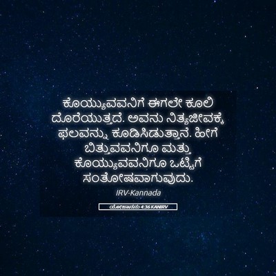 Picture 05 - ಯೋಹಾನನು 4:36 KANIRV - ಕೊಯ್ಯುವವನಿಗೆ ಈಗಲೇ - Bible Verse Picture