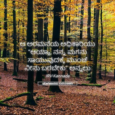 Picture 05 - ಯೋಹಾನನು 4:49 KANIRV - ಆ ಅರಮನೆಯ - Bible Verse Picture