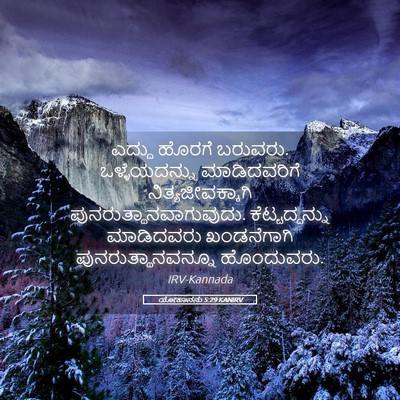 Picture 05 - ಯೋಹಾನನು 5:29 KANIRV - ಎದ್ದು ಹೊರಗೆ - Bible Verse Picture