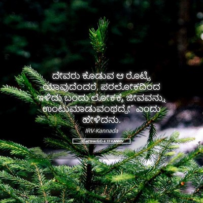 Picture 05 - ಯೋಹಾನನು 6:33 KANIRV - ದೇವರು ಕೊಡುವ ಆ - Bible Verse Picture