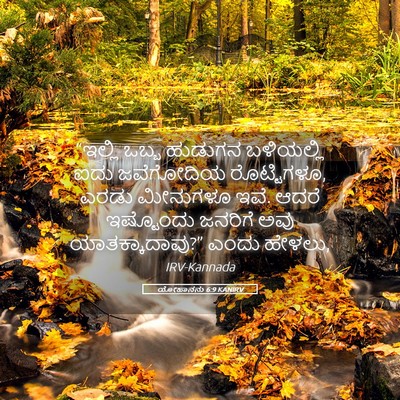 Picture 05 - ಯೋಹಾನನು 6:9 KANIRV - “ಇಲ್ಲಿ ಒಬ್ಬ - Bible Verse Picture