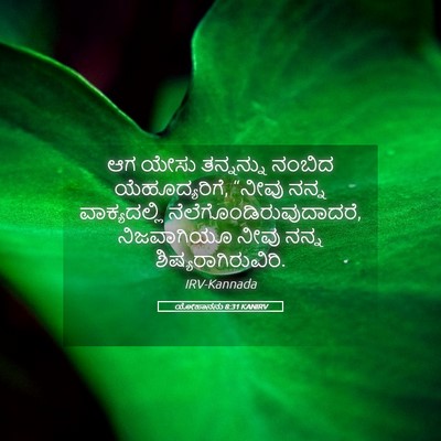 Picture 05 - ಯೋಹಾನನು 8:31 KANIRV - ಆಗ ಯೇಸು ತನ್ನನ್ನು - Bible Verse Picture