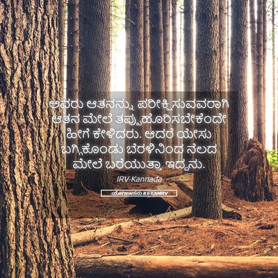 Picture 05 - ಯೋಹಾನನು 8:6 KANIRV - ಅವರು ಆತನನ್ನು - Bible Verse Picture