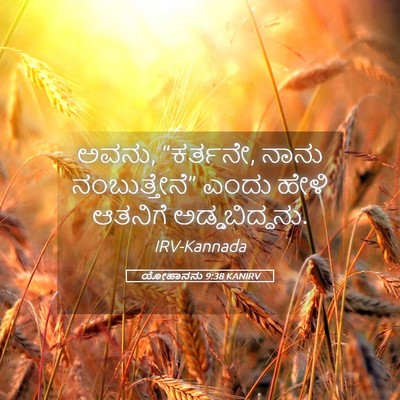 Picture 05 - ಯೋಹಾನನು 9:38 KANIRV - ಅವನು, “ಕರ್ತನೇ, ನಾನು - Bible Verse Picture