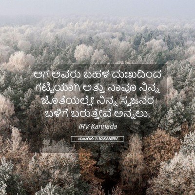 Picture 05 - ರೂತಳು 1:10 KANIRV - ಆಗ ಅವರು ಬಹಳ - Bible Verse Picture