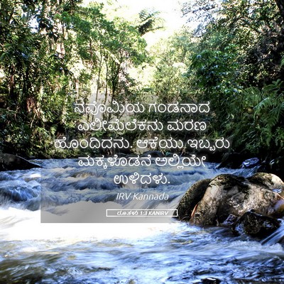Picture 05 - ರೂತಳು 1:3 KANIRV - ನವೊಮಿಯ ಗಂಡನಾದ - Bible Verse Picture