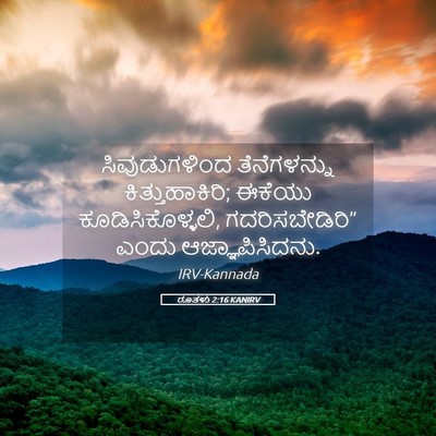 Picture 05 - ರೂತಳು 2:16 KANIRV - ಸಿವುಡುಗಳಿಂದ - Bible Verse Picture