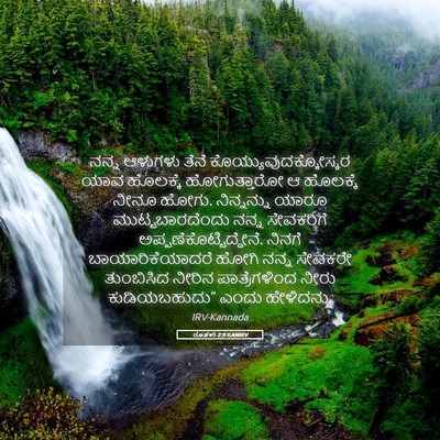 Picture 05 - ರೂತಳು 2:9 KANIRV - ನನ್ನ ಆಳುಗಳು ತೆನೆ - Bible Verse Picture