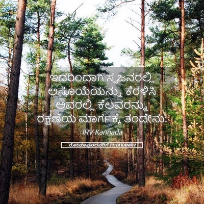Picture 05 - ರೋಮಾಪುರದವರಿಗೆ 11:14 KANIRV - ಇದರಿಂದಾಗಿ - Bible Verse Picture