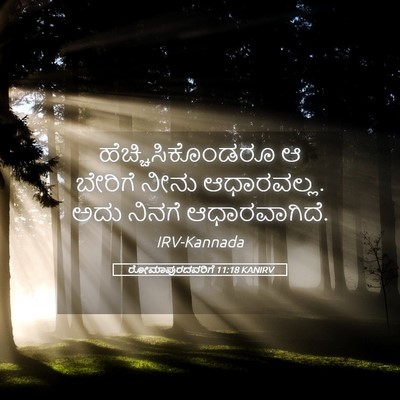 Picture 05 - ರೋಮಾಪುರದವರಿಗೆ 11:18 KANIRV - ಹೆಚ್ಚಿಸಿಕೊಂಡರೂ ಆ - Bible Verse Picture
