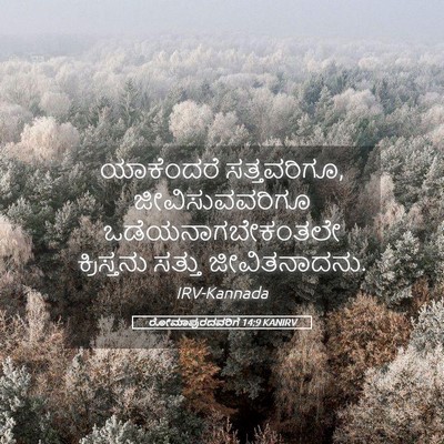 Picture 05 - ರೋಮಾಪುರದವರಿಗೆ 14:9 KANIRV - ಯಾಕೆಂದರೆ - Bible Verse Picture