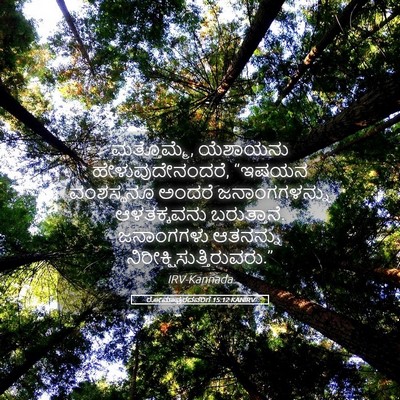 Picture 05 - ರೋಮಾಪುರದವರಿಗೆ 15:12 KANIRV - ಮತ್ತೊಮ್ಮೆ, - Bible Verse Picture