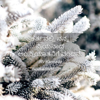 Picture 05 - ರೋಮಾಪುರದವರಿಗೆ 16:8 KANIRV - ಕರ್ತನಲ್ಲಿ ನನ್ನ - Bible Verse Picture