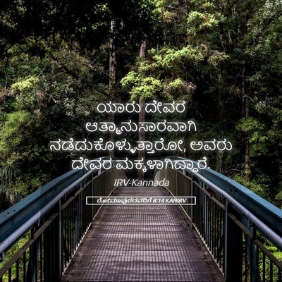 Picture 05 - ರೋಮಾಪುರದವರಿಗೆ 8:14 KANIRV - ಯಾರು ದೇವರ - Bible Verse Picture