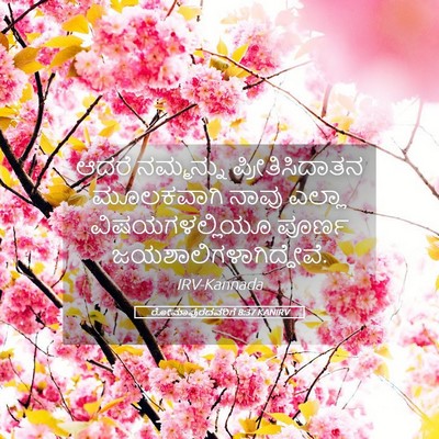 Picture 05 - ರೋಮಾಪುರದವರಿಗೆ 8:37 KANIRV - ಆದರೆ ನಮ್ಮನ್ನು - Bible Verse Picture
