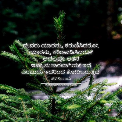 Picture 05 - ರೋಮಾಪುರದವರಿಗೆ 9:18 KANIRV - ದೇವರು ಯಾರನ್ನು - Bible Verse Picture