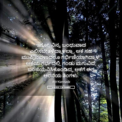 Picture 05 - ಲೂಕನು 1:36 KANIRV - ಇಗೋ, ನಿನ್ನ ಬಂಧುವಾದ - Bible Verse Picture