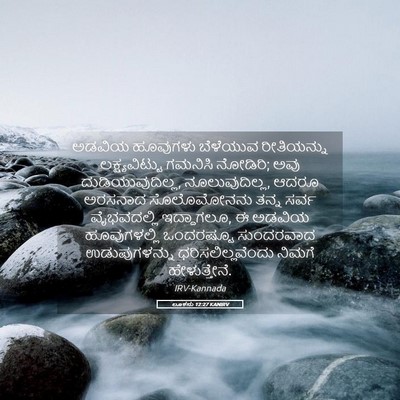 Picture 05 - ಲೂಕನು 12:27 KANIRV - ಅಡವಿಯ ಹೂವುಗಳು - Bible Verse Picture