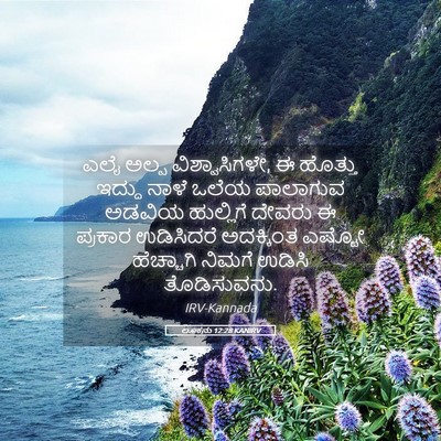 Picture 05 - ಲೂಕನು 12:28 KANIRV - ಎಲೈ ಅಲ್ಪ - Bible Verse Picture