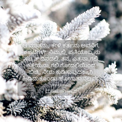 Picture 05 - ಲೂಕನು 13:15 KANIRV - ಆ ಮಾತನ್ನು ಕೇಳಿ - Bible Verse Picture