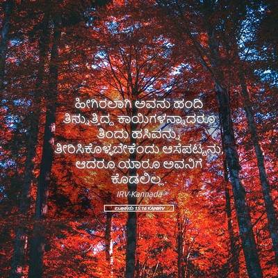 Picture 05 - ಲೂಕನು 15:16 KANIRV - ಹೀಗಿರಲಾಗಿ ಅವನು - Bible Verse Picture
