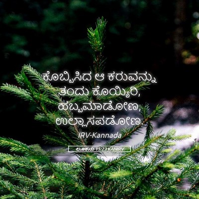 Picture 05 - ಲೂಕನು 15:23 KANIRV - ಕೊಬ್ಬಿಸಿದ ಆ - Bible Verse Picture
