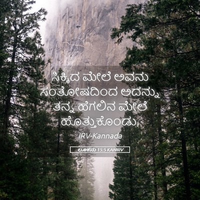 Picture 05 - ಲೂಕನು 15:5 KANIRV - ಸಿಕ್ಕಿದ ಮೇಲೆ ಅವನು - Bible Verse Picture