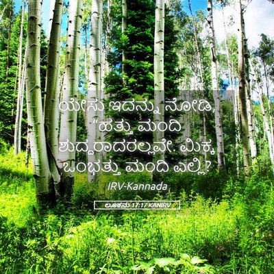 Picture 05 - ಲೂಕನು 17:17 KANIRV - ಯೇಸು ಇದನ್ನು ನೋಡಿ, - Bible Verse Picture