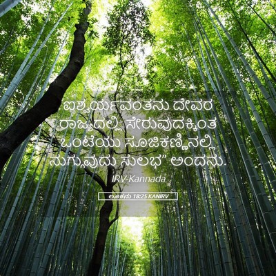 Picture 05 - ಲೂಕನು 18:25 KANIRV - ಐಶ್ವರ್ಯವಂತನು ದೇವರ - Bible Verse Picture