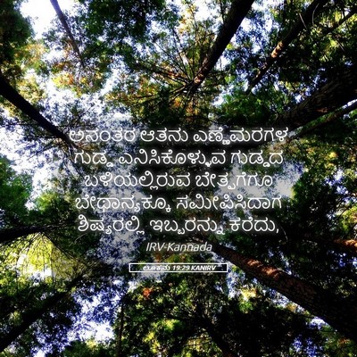 Picture 05 - ಲೂಕನು 19:29 KANIRV - ಅನಂತರ ಆತನು - Bible Verse Picture