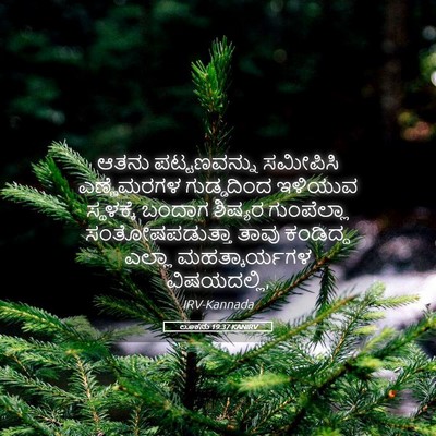 Picture 05 - ಲೂಕನು 19:37 KANIRV - ಆತನು ಪಟ್ಟಣವನ್ನು - Bible Verse Picture