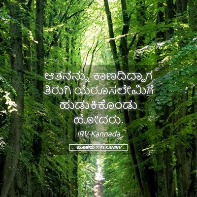 Picture 05 - ಲೂಕನು 2:45 KANIRV - ಆತನನ್ನು - Bible Verse Picture